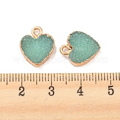 Resin with Golden Zinc Alloy Charms&nbsp;LS-RESI-CJC0009-04D