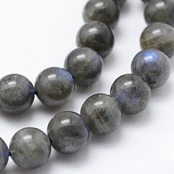 Natural Labradorite Beads Strands&nbsp;G-P326-01-6mm