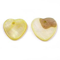 Natural Freshwater Shell Charms&nbsp;SHEL-R113-17J