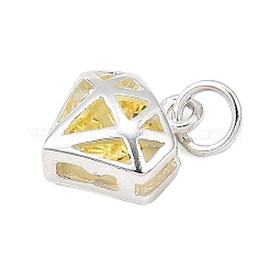 S925 Sterling Silver with Cubic Zirconia Charms&nbsp;STER-Q006-05A-S