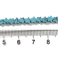 Dyed Synthetic Turquoise Beads Strands&nbsp;G-G085-B32-01