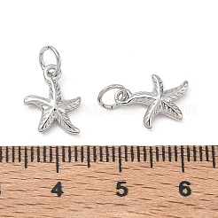 Brass Charms&nbsp;KK-D289-52A-P