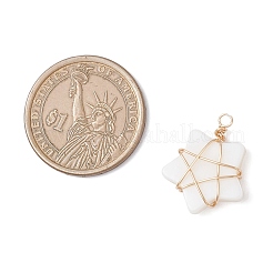 Natural Freshwater Shell Pendants&nbsp;PALLOY-JF04304