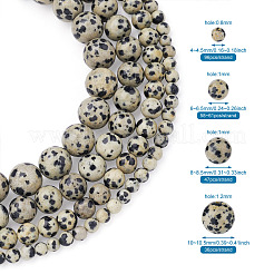 4 Strands 4 Style Natural Dalmatian Jasper Beads Strands&nbsp;G-YS0001-06