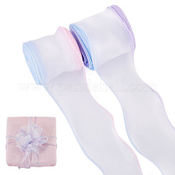 20 Yars 2 Colors Polyester Ribbon&nbsp;OCOR-TA0003-66B