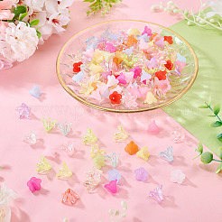 200Pcs 2 Styles Transparent & Frosted Acrylic Beads&nbsp;OACR-TA0004-72A