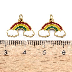 316 Surgical Stainless Steel Enamel Charms&nbsp;STAS-S116-403G