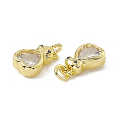 Rack Plating Brass Cubic Zirconia Charms&nbsp;KK-C007-01G-04