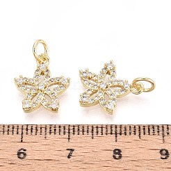 Brass Micro Pave Cubic Zirconia Pendants&nbsp;KK-T071-97G