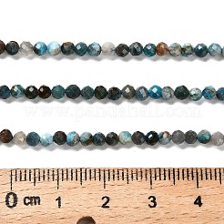 Natural Apatite Beads Strands&nbsp;LS-G-RM2025-36-3mm