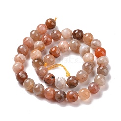 Natural Botswana Agate Beads Strands&nbsp;G-G925-01A