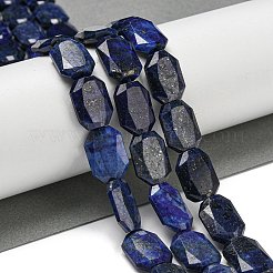 Natural Lapis Lazuli Beads Strands&nbsp;G-P544-B10-01