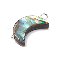 Natural Abalone Shell/Paua Shell Pendants&nbsp;PALLOY-JF02701-02