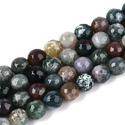 Natural Indian Agate Beads Strands&nbsp;G-T139-8mm-88E