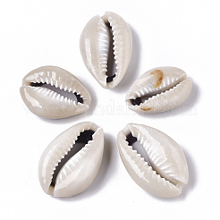Natural Cowrie Shell Beads&nbsp;SSHEL-N034-33