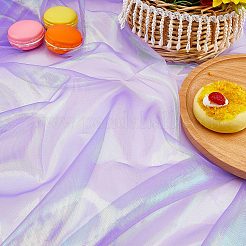 Laser Polyester Fabric&nbsp;AJEW-WH0314-49C