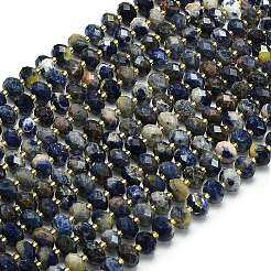 Natural Sodalite Beads Strands&nbsp;G-P573-A46-01