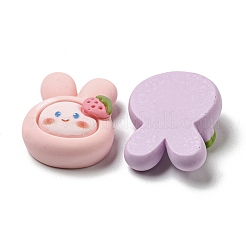 Opaque Resin Decoden Cabochons&nbsp;RESI-F052-A03