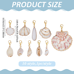 10Pcs Shell Decorations&nbsp;HJEW-ME00059