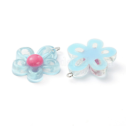 Transparent Resin Pendants&nbsp;RESI-TAC0005-017B