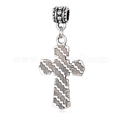 Alloy European Dangle Charms&nbsp;ENAM-G051-01AS