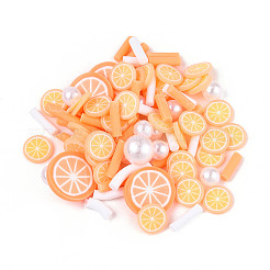 Handmade Polymer Clay Cabochons&nbsp;CLAY-N013-15B