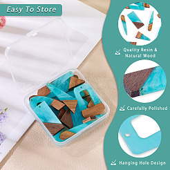 20Pcs 10 Styles Resin & Wood Pendants&nbsp;WOOD-TA0002-67D