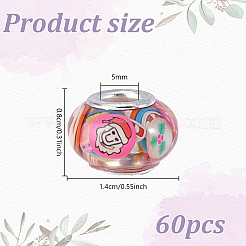 60Pcs Resin European Beads&nbsp;RPDL-HY0001-01