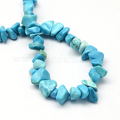 Dyed Synthetic Turquoise Stone Bead Strands&nbsp;LS-G-R192-B24