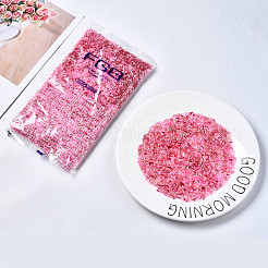 FGB Glass Seed Beads&nbsp;SEED-S056-004