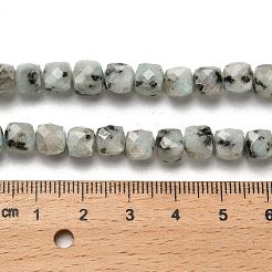 Natural Sesame Jasper Beads Strands&nbsp;G-H078-C24-01