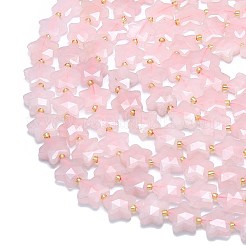 Natural Rose Quartz Beads Strands&nbsp;G-P573-C08-01