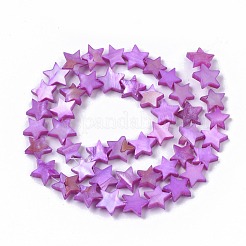 Freshwater Shell Beads Strands&nbsp;SHEL-T014-009E
