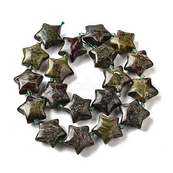 Natural Dragon Blood Beads Strands&nbsp;G-U023-C01-07