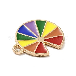 Rainbow Color Alloy Enamel Pendants&nbsp;LS-ENAM-G208-21KCG