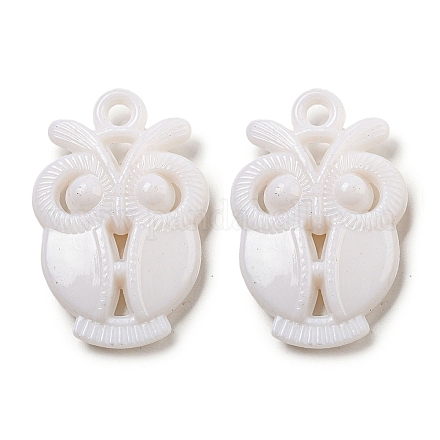 Opaque Acrylic Pendants SACR-L007-045-1