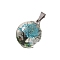 5Pcs Dried Flower Glass Pendants, Flat Round, Deep Sky Blue, 32x20mm