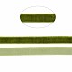 Single Face Velvet Ribbon&nbsp;SRIB-T004-01-25-5
