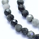Natural Hawk's Eye Beads Strands&nbsp;G-I279-E14-03-3