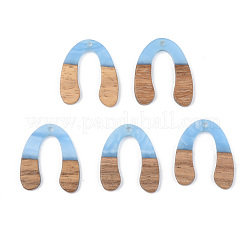 Resin & Walnut Wood Pendants&nbsp;RESI-S389-058B