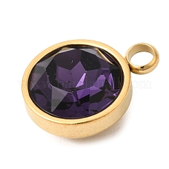 Birthstone Theme February 304 Stainless Steel Pendants&nbsp;STAS-K239-01G-A02
