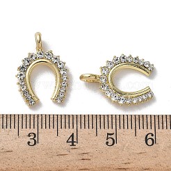 Alloy Rhinestone Pendants&nbsp;FIND-L024-10G