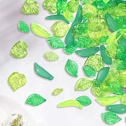 600Pcs 10 Styles Transparent Acrylic Pendants&nbsp;OACR-PA0001-48