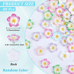 Plumeria Flower Opaque Resin Cabochons&nbsp;CRES-BM0001-01A