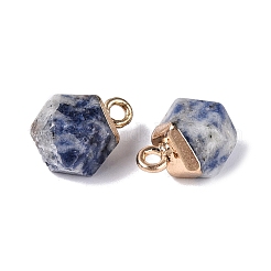 Natural Blue Spot Jasper Pendants&nbsp;G-N359-18G-06