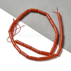 Synthetic Coral Beads Strands&nbsp;G-D464-42