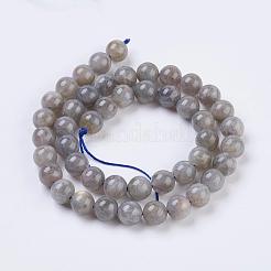 Natural Labradorite Beads Strands&nbsp;X-G-G212-8mm-23