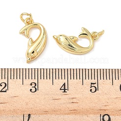 Brass Pendants&nbsp;KK-L239-028G