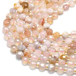 Natural Cherry Blossom Agate Beads Strands&nbsp;G-C116-A148-01