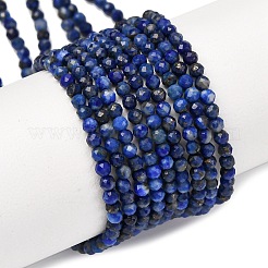Natural Lapis Lazuli Beads Strands&nbsp;G-E351-09